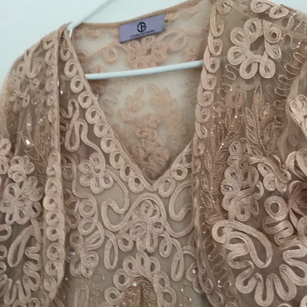 Stunning Mother of Bride / Groom dress